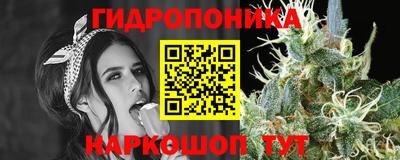 индика Бузулук