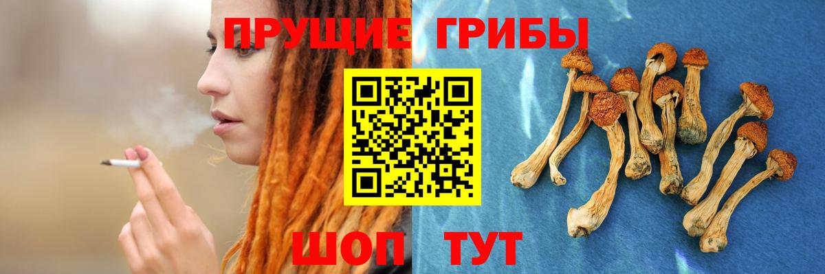 Галлюциногенные грибы ЛСД  Псилоцибиновые грибы мицелий  что такое наркотик  Пугачёв  Вход с VPN 